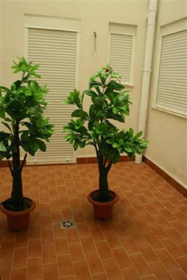 לה קאסס ד'אלקנאר Apartamento Columbretes מראה חיצוני תמונה